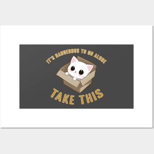 Box Cat Dangerous to go Alone Posters and Art